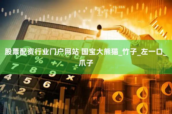 股票配资行业门户网站 国宝大熊猫_竹子_左一口_爪子