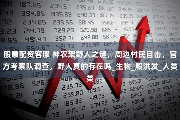 股票配资客服 神农架野人之谜，周边村民目击，官方考察队调查，野人真的存在吗_生物_殷洪发_人类