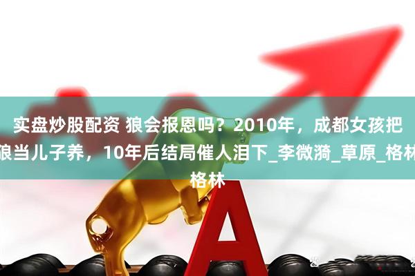 实盘炒股配资 狼会报恩吗？2010年，成都女孩把狼当儿子养，10年后结局催人泪下_李微漪_草原_格林