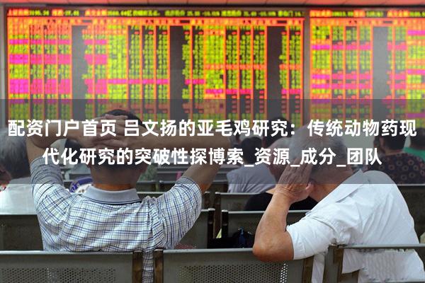 配资门户首页 吕文扬的亚毛鸡研究：传统动物药现代化研究的突破性探博索_资源_成分_团队