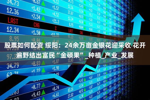 股票如何配资 绥阳：24余万亩金银花迎采收 花开遍野结出富民“金硕果”_种植_产业_发展