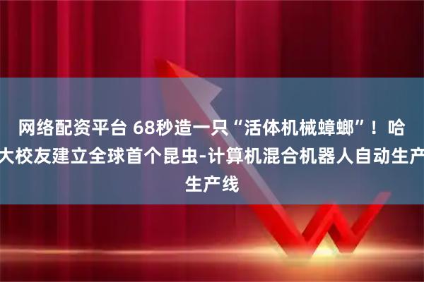 网络配资平台 68秒造一只“活体机械蟑螂”！哈工大校友建立全球首个昆虫-计算机混合机器人自动生产线